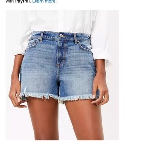 LOFT jean shorts BRAND NEW